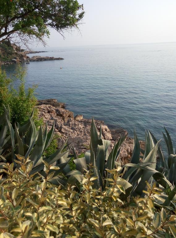 Apartman Marinkovic Dobrá Voda Exterior foto