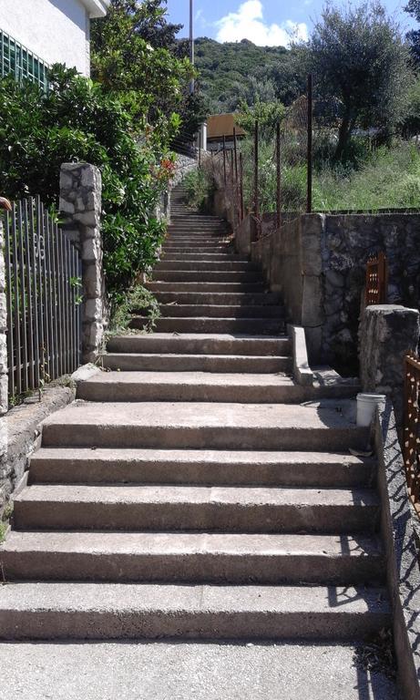 Apartman Marinkovic Dobrá Voda Exterior foto