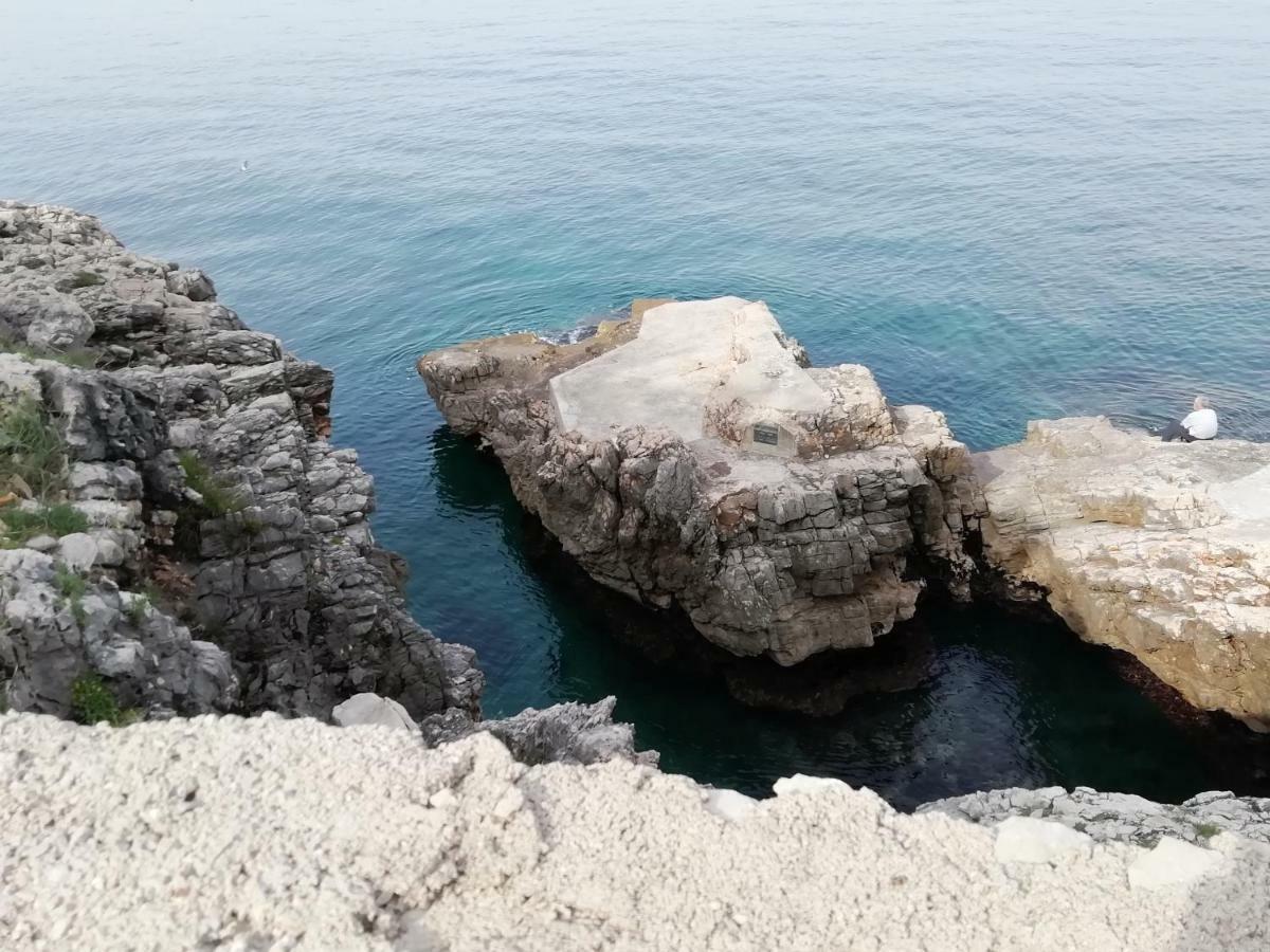 Apartman Marinkovic Dobrá Voda Exterior foto