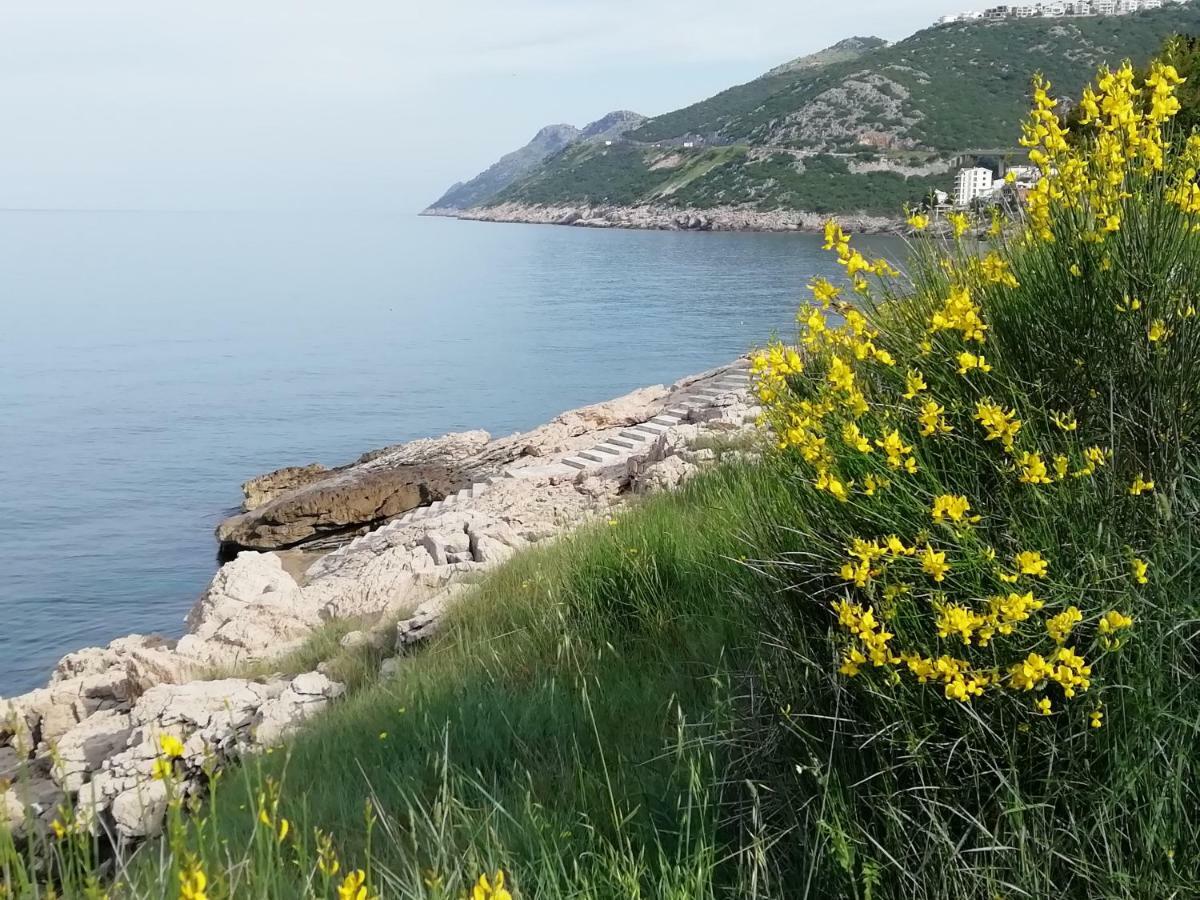 Apartman Marinkovic Dobrá Voda Exterior foto
